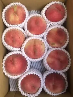 646.お買得福島産 朝採り完熟甘い桃 箱込み3kg訳あり家庭用 玉数