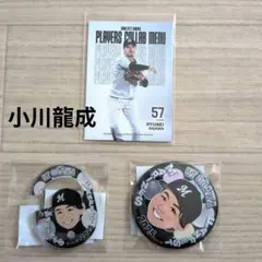 Item thumbnail for item 872ac5e8-fd3d-4f7a-b8c9-3fe87913a952