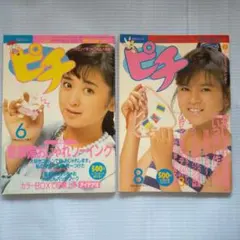 手芸フレンド　ピチ　47巻セット 2026年最新】手芸フレンド ピチの人気アイテム - メルカリ