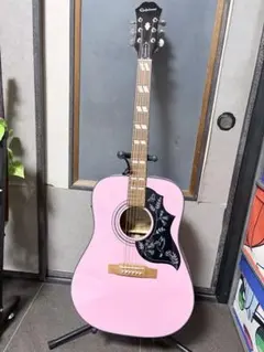 에피폰 깁슨 Epiphone GIBSON 한정 엘레아코