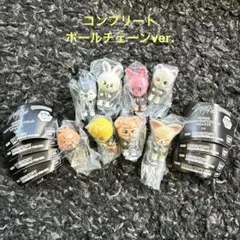 SKZOO スキズガチャ つまんでつなげてますこっと でらっくす コンプリート