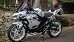 バリオス2 フルカウル化 カスタム多数 250cc エンジン始動OK - メルカリ