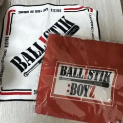 BALLISTIKBOYZ タオル 巾着
