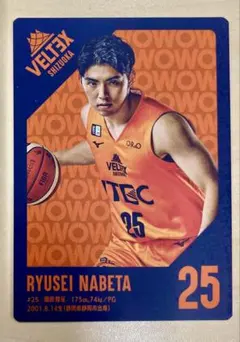 ベルテックス静岡　鍋田隆征選手 ファンクラブ限定選手カード(24-5シーズン)