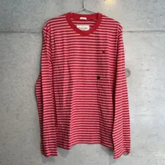 Abercrombie & Fitch ボーダーTシャツ