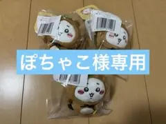 ぽちゃこ様専用 たぬきだもんくじ D賞ちいかわ