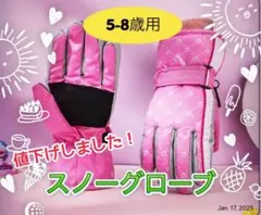【値下げ】キッズ スノーグローブ 手袋 防寒 防水 通学 雪遊び 子供用