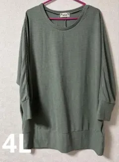 最終お値下げ！レディース秋物薄手ニット4L
