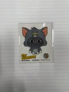 BOYNEXTDOOR テサン トムジェリ ステッカー