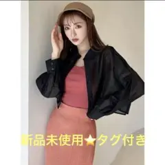 resexxy シアーショートシャツ