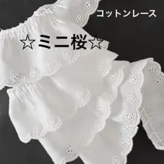 Item thumbnail for item 9a350e51-e1b2-43d3-aec8-ab7748904d0f