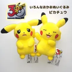 ポケモンセンターオーサカ限定 ビリケンピカチュウ ぬいぐるみ - メルカリ
