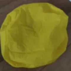 Item thumbnail for item 491a1419-0820-4176-9216-19d7ba15acc9