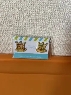 嵐　コンサートグッズ　ピンバッジとストラップセット