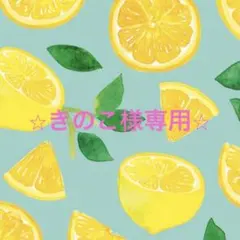 ⭐︎最新モデル⭐︎Millet ティフォン ストレッチ ジャケット Lのサムネイル
