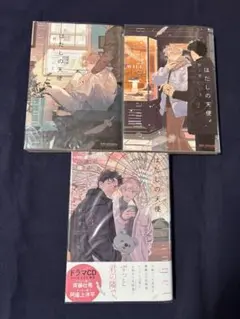 はだしの天使 1-3巻セット