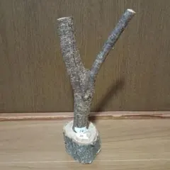 Item thumbnail for item b3c4c6a0-c73a-4902-845a-8d2b822d59a6