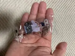 ラウールお守りキーホルダー