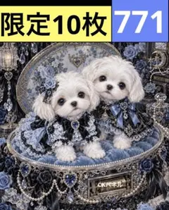 限定10枚！　犬 レアパネル生地　無くなり次第終了です