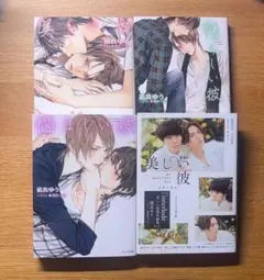 美しい彼 小説 全巻セット