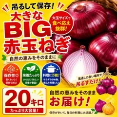 吊るして長期保存可能‼️大きなビッグサイズ赤玉ねぎ２０キロ‼️肉厚で柔らかい‼️のサムネイル