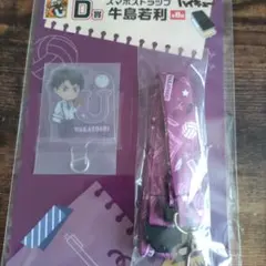 ハイキュー　グッスマクジ　D賞