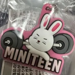 SEVENTEENミニティーン ガチャ めじるしアクセサリー エスクプス