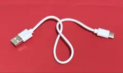 【匿名配送・送料込】USB-A to USB-Cケーブル 31.5cm ホワイト