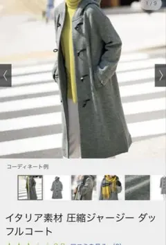 ［値下げ］圧縮ジャージーダッフルコート　ディノス DAMAのサムネイル