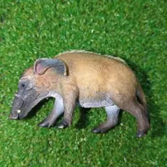 Item thumbnail for item 6d95b4dc-dda8-4cab-bb07-d86b70c5e2f9