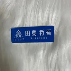 2026年最新】田島将吾 ネームプレートの人気アイテム - メルカリ