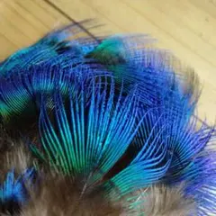 Item thumbnail for item 0400f5a5-aa67-4b59-aa14-8f5ea4f683cc