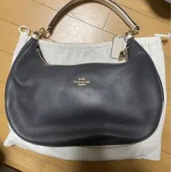 Item thumbnail for item 4871a5d1-4b7c-46ac-9ccd-f074680a62ec