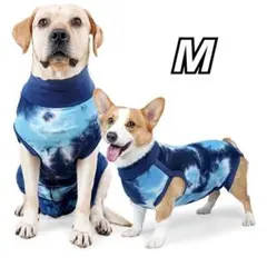 Item thumbnail for item 1cdada76-6755-43f9-8975-ba22fb17f34d