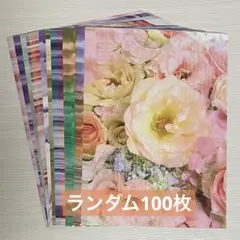 Item thumbnail for item 87fb44bb-030a-494a-8bb2-e3709fc2be4d