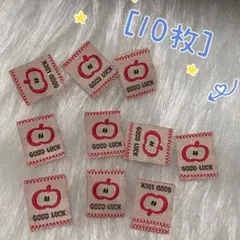 502 ￼ミニりんごちゃん￼　刺繍タグ＊10枚　ピスネーム　ハンドメイド