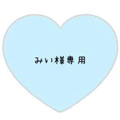みい様専用ページ⸜❤︎⸝てら