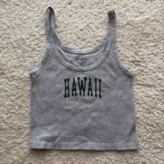 BRANDY MELVILLE HAWAII リブタンクトップ グレーのサムネイル