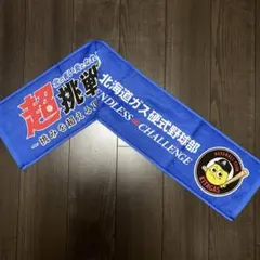 北海道ガス 硬式野球部 都市対抗野球大会出場記念 タオルマフラー 北ガスのサムネイル
