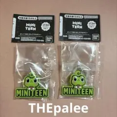 SEVENTEEN MINITEEN ぷっくりめじるしアクセサリーTHE8