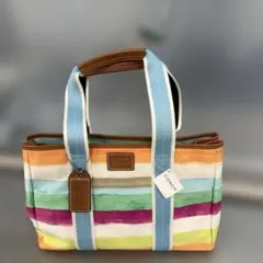 び*こ様 新品 COACH コーチ マルチカラー ストライプ ハンドバッグ 手提