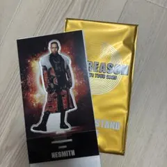 EXILE LIVE TOUR 2025 EXILE NESMITH アクスタ