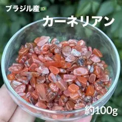 カーネリアン さざれ 約100g MY1009