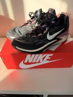 Item thumbnail for item 82a5bd8f-d262-4dcb-b29d-9c5f55553681