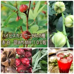 ポンタ様 リクエスト 3点 まとめ商品