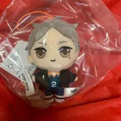 ハイキュー!! ぷちぬいぐるみマスコットvol.3 菅原孝支　10体 ハイキュー ぷちぬいぐるみ マスコット vol 3 菅原孝支（新品未