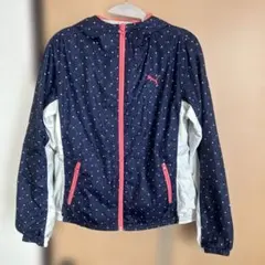 PUMA レディース　ウィンドブレーカー　Ｍ　上下