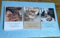 石田ゆり子 ハニオ日記 3冊セット
