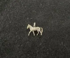 チャーム 馬