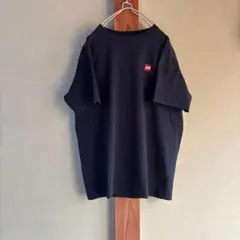 THE NORTH FACE スモールボックスロゴTシャツ